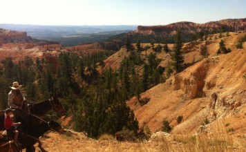 Dalle meraviglie del Bryce Canyon al fascino del Lago Powell