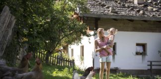 Vacanze in famiglia a Merano e dintorni: cosa fare con i bambini vacanze a merano con bambini