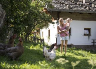 Vacanze in famiglia a Merano e dintorni: cosa fare con i bambini vacanze a merano con bambini