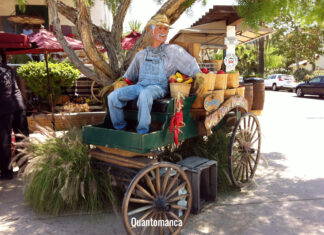 San Diego e Palm Springs: un tuffo nella cultura messicana e un’oasi nel deserto san diego california