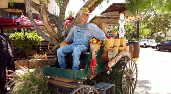 San Diego e Palm Springs: un tuffo nella cultura messicana e un’oasi nel deserto san diego california