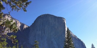 Yosemite National Park e Mariposa Grove: tra paesaggi mozzafiato e alberi secolari
