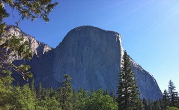Yosemite National Park e Mariposa Grove: tra paesaggi mozzafiato e alberi secolari