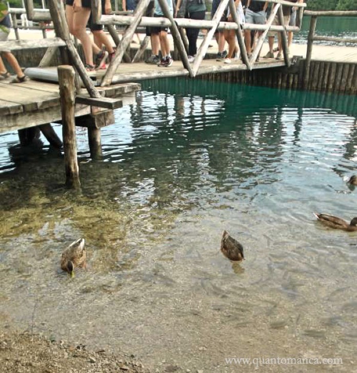 laghi di plitvice croazia