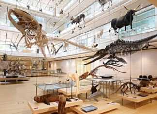 Musei per bambini e ragazzi in Trentino Alto Adige trentino alto adige - musei per bambini