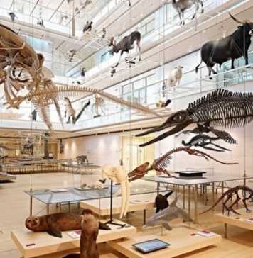 Musei per bambini e ragazzi in Trentino Alto Adige trentino alto adige - musei per bambini