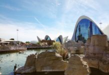 L’ Oceanografico di Valencia: esperienza imperdibile per le famiglie Oceanografico valencia con bambini