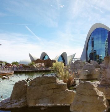 L’ Oceanografico di Valencia: esperienza imperdibile per le famiglie Oceanografico valencia con bambini