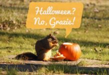 Halloween senza Halloween: ovvero dove andare il 31 ottobre senza incontrare mostri e zucche