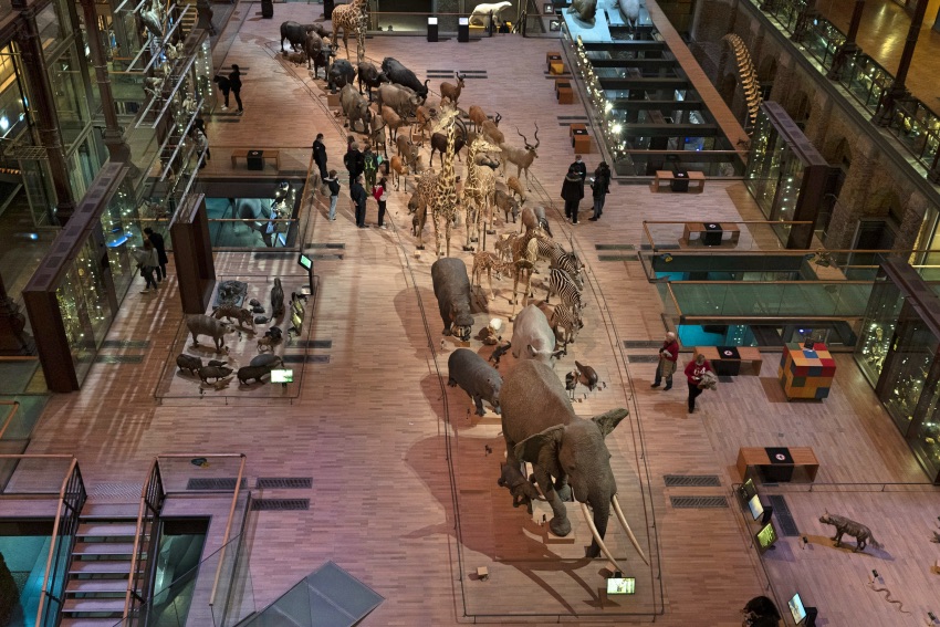 museo parigi galleria dell' evoluzione