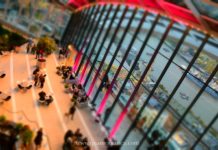 Sky Garden, un giardino sul cielo di Londra skygarden londra