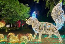 Le luminarie di Salerno: un’esperienza natalizia da non perdere luminarie salerno
