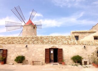 Trapani e dintorni: 10 cose da vedere nel 2026 le saline di trapano da vedere nei dintorni di trapani- sicilia