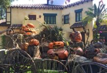 La storia di Halloween: come e dove è nata questa festa leggenda halloween