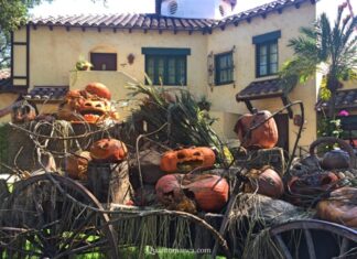 La storia di Halloween: come e dove è nata questa festa leggenda halloween