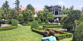 Weekend a Vienna con i bambini: cosa vedere, fare e dove andare vienna con bambini week end