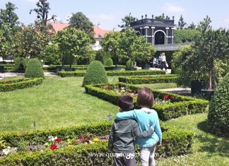 Weekend a Vienna con i bambini: cosa vedere, fare e dove andare vienna con bambini week end