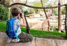 Bioparco di Valencia: Guida completa e Consigli “Salva-Genitori” per la visita zoo valancia