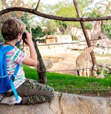 Bioparco di Valencia: Guida completa e Consigli “Salva-Genitori” per la visita zoo valancia