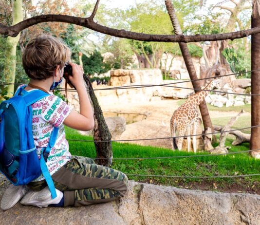 Bioparco di Valencia: Guida completa e Consigli “Salva-Genitori” per la visita zoo valancia