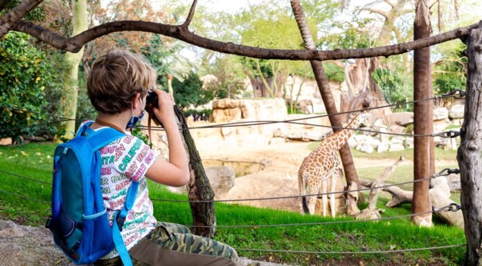 Bioparco di Valencia: Guida completa e Consigli “Salva-Genitori” per la visita zoo valancia