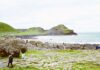 Giant’s Causeway, uno spettacolo naturale in Irlanda del Nord irlanda con bambini