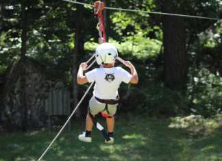 Tra ponti di corda e liane: i parchi avventura dove andare con i bambini parchi avventura in italia