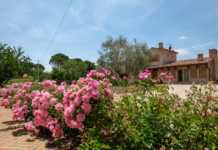 Agriturismo Borgo Giorgione – Monteleone d’ Orvieto agriturismo borgo giorgione umbria