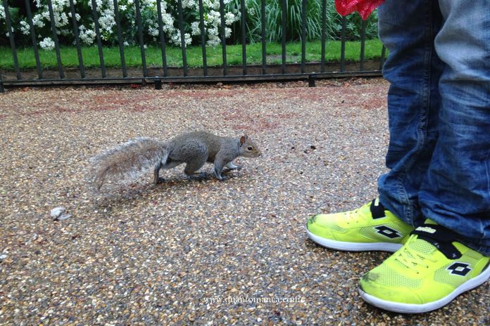 Hide Park Londra