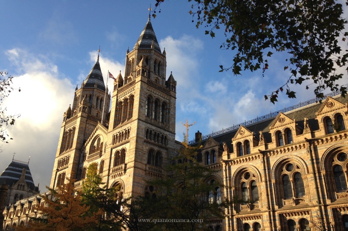 museo storia naturale londra