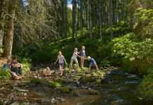 Foresta nera in Germania per una vacanza all’ insegna del verde foresta nera con bambini