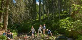 Foresta nera in Germania per una vacanza all’ insegna del verde foresta nera con bambini