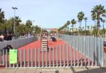 Barcellona con bambini: Guida pratica e le 10 attrazioni imperdibili barcellona cosa vedere con i bambini