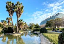 Valencia con i bambini: le 10 attrazioni da non perdere la città delle arti e della scienza di valencia