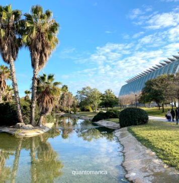 Valencia con i bambini: le 10 attrazioni da non perdere la città delle arti e della scienza di valencia