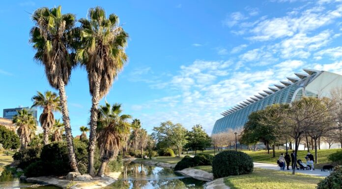 Valencia con i bambini: le 10 attrazioni da non perdere la città delle arti e della scienza di valencia