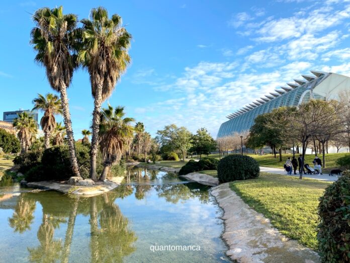 la città delle arti e della scienza di valencia