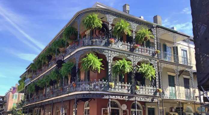 Cosa vedere a New Orleans: due giorni tra musica, colori e storie che incantano new orleans cosa vedere