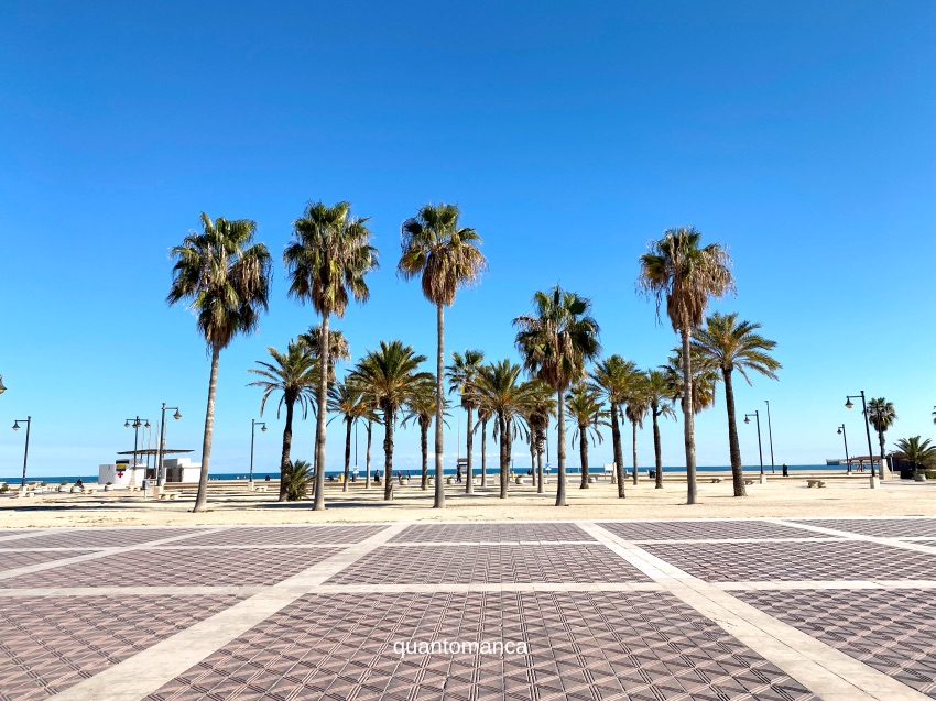 lungomare e spiaggia malvarrosa di valencia