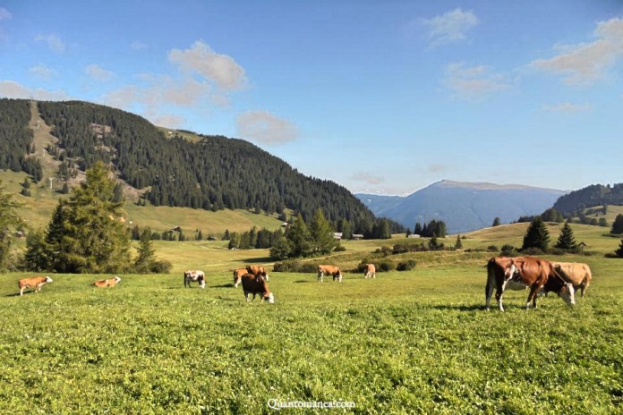 alpe di siusi estate