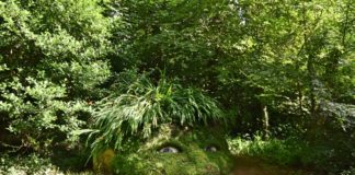 Visita ai Lost Gardens of Heligan in Cornovaglia