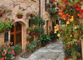 Spello: cosa vedere in uno dei borghi più belli d’Italia (anche con i bambini) spello umbria