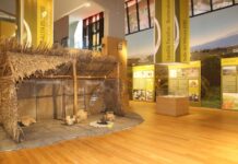 Musei per bambini e ragazzi in Molise museo isernia