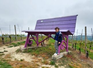 Big Bench, a caccia di panchine giganti panchine giganti piemonte
