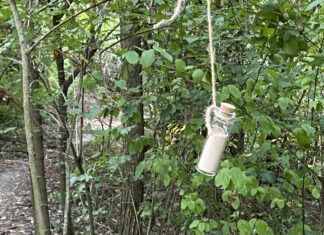 Blowing in the Woods, messaggi segreti nei Boschi di Carrega