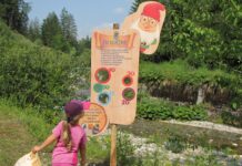 Veneto, Piemonte e Friuli: 3 sentieri a tema per bambini nella natura sentieri per bambini