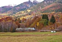 Treno del foliage: immagini d’ autunno tra Domodossola e Locarno