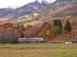 Treno del foliage: immagini d’ autunno tra Domodossola e Locarno