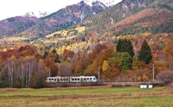 Treno del foliage: immagini d’ autunno tra Domodossola e Locarno