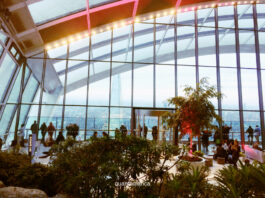 Sky Garden Londra: guida al giardino pensile più alto della Capitale